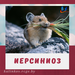 Здоровый образ жизни